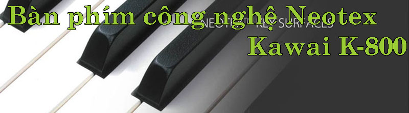 Neotex Kawai K-800