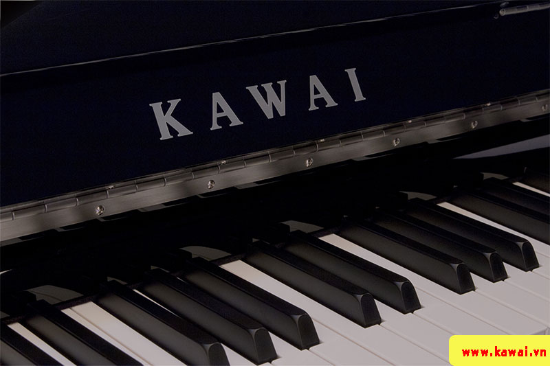 Cảm ứng phím piano Kawai ND21